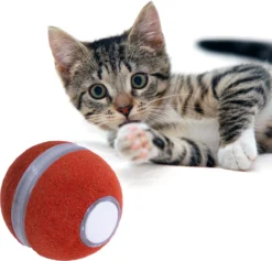 Cheerble Mini Ball – Slimme Interactieve Bal – Kattenspeeltjes Intelligentie – Automatisch – Kat Speelbal – Kattenspeelgoed – USB Oplaadbaar – Rood