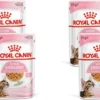 Royal Canin Kitten Sterilised Jelly – Kitten-Kattenvoer – 4 X 12×85 G