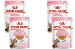 Royal Canin Kitten Sterilised Jelly – Kitten-Kattenvoer – 4 X 12×85 G