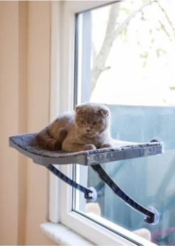 Kattenhagmat – Kattenhangmat Raam – Kattenmand – Kattenbed – Kattenbed Raam – Kat Decoratie