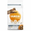 Iams Cat Adult Indoor – Kattenvoer – Kip 3 Kg