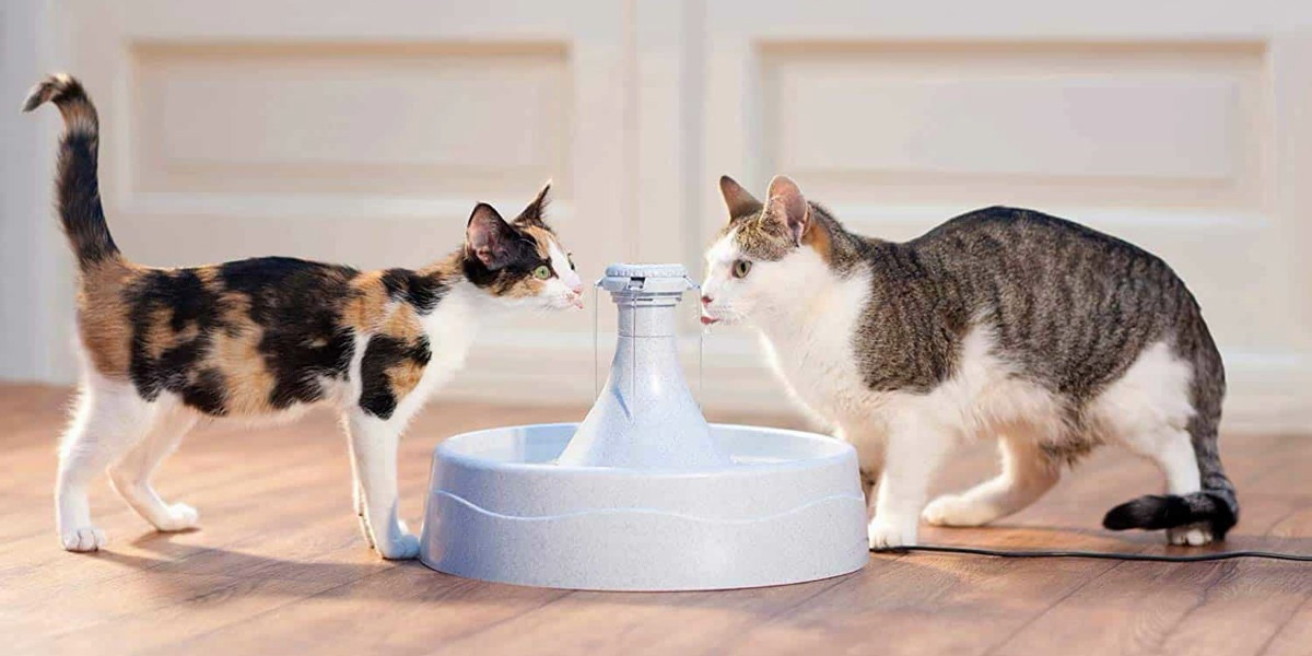 Kattenbenodigdheden Winkel -Kattenbenodigdheden Winkel 1