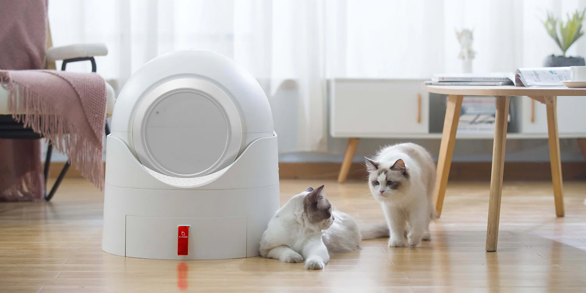 Kattenbenodigdheden Winkel -Kattenbenodigdheden Winkel 2